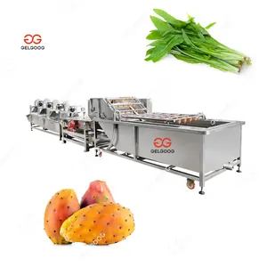 Industrial Washing Machine With Dryer Vegetable Washer And Dryer Salad Prickly Pear Washing Machine