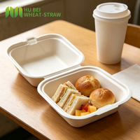 Boîte à emporter anti-graisse en bagasse pour burger, format clamshell 4x4 pouces, écologique, carrée, jetable