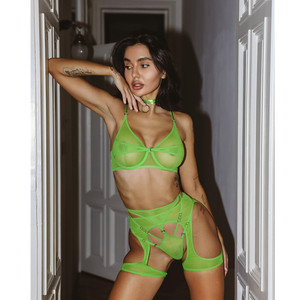 Conjunto de Lencería Sexy Estilo Europeo Americano, Nuevo y en Oferta, Conjunto de Lencería de Cuatro Piezas con Tirantes en el Cuello, Ropa Interior de Malla Divertida para Mujer - Product Image 1