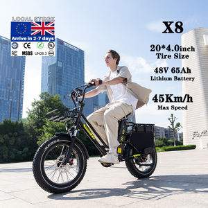 จักรยานไฟฟ้าพับได้ KOOLUX X8 ขนาด 20 นิ้ว จาก EU/UK รุ่น OEM โครงอลูมิเนียมอัลลอยด์ สำหรับบรรทุกสัมภาระ จักรยานไฟฟ้าสำหรับครอบครัว จักรยานไฟฟ้าส่งอาหาร - Product Image 1