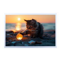 Innolux 12,1 Zoll Ultra-Dünnes LCD-Modul 7,7mm 1024x768 XGA 500 Nits LVDS-Display für Industrielle HMI-Panels G121X1-L04 G121X1-L03