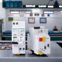 Schneider miniatura IDPNA Vigi ELE 36mm MCB disyuntor plástico 1P N C tipo 10A-40A protección contra fugas 10ka cobre Din Rail