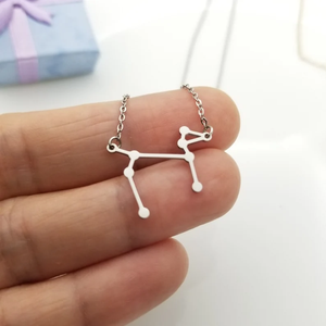 316 L Acero inoxidable Sirius El perro estrella Canis collar importante delicado collar el mayor perro collar - Product Image 2