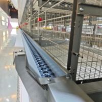 Cage à poulets d'occasion économique et stable, cage à poulets robuste, poulailler imperméable pour l'équipement agricole