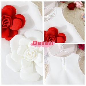 Robe de princesse transfrontalière style doux, coupe trapèze, avec fleurs en relief, pour filles, collection Noël, vente en gros - Product Image 2