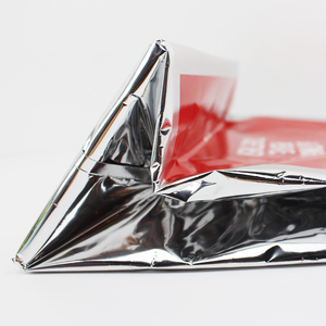 <span class=keywords><strong>Bolsa</strong></span> térmica de plástico para alimentos <span class=keywords><strong>congelados</strong></span>, <span class=keywords><strong>bolsa</strong></span> térmica para alimentos <span class=keywords><strong>congelados</strong></span> - Product Image 6