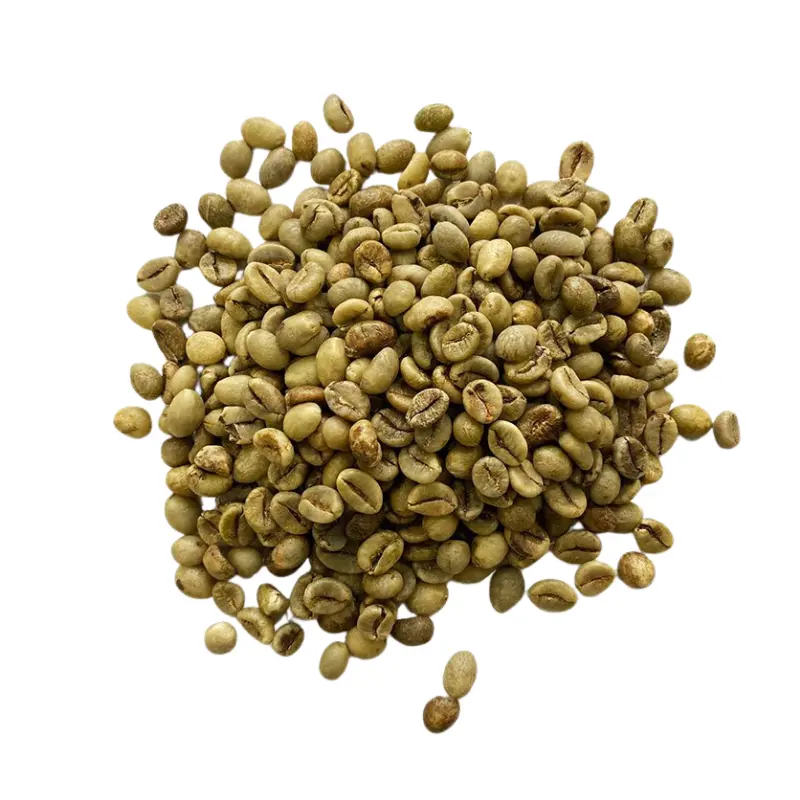 Attractive Flavor Coffee Green Beans All Size Raw Good Scent Drinks Customized Packaging Vietnamese Manufacturer