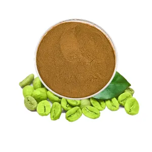 Factory bulk green coffee bean extract chlorogenic acid powder