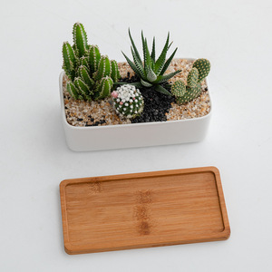 Vente flash : Jardinière géante moderne en céramique blanche émaillée avec soucoupe en <span class=keywords><strong>bambou</strong></span>, écologique, durable, rectangulaire, pour plantes succulentes, au sol - Product Image 4