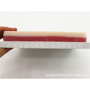 Módulo de práctica de acupuntura cutánea; Módulo de acupuntura multifuncional; Sutura cutánea, inyección de acupuntura, cosmética - Product Image 5