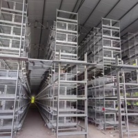 Offre Spéciale : Poulailler Automatique Type H à 4 Niveaux, Équipement d'Élevage Galvanisé pour 20 000 Poulets – Projet Agricole Afrique