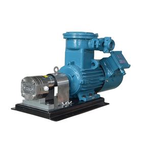 उच्च गुणवत्ता वाले सकारात्मक विस्थापन गियर पंप चीन कारखाने से चुनने के लिए विभिन्न सामग्री - Product Image 5