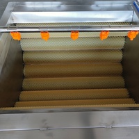 Automatische 800/1000-type aardappelwas- en schilmachine, zware borstelrolschiller, hoogrendements cassave schil- en wasmachine