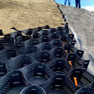 Géocell <span class=keywords><strong>en</strong></span> <span class=keywords><strong>nid</strong></span> <span class=keywords><strong>d</strong></span>'<span class=keywords><strong>abeille</strong></span> pour mur de soutènement, grille de <span class=keywords><strong>gravier</strong></span> haute résistance - Product Image 2