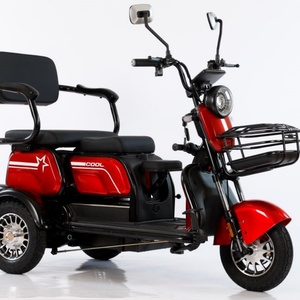 Triciclo Eléctrico de 800W con Motor de 48v, Certificado EEC para Adultos, Tipo de Carrocería Cerrada y Abierta para Pasajeros y Carga, Scooter de Movilidad - Product Image 4