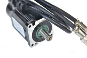 Moteur Mini Haute Performance 0,75 kW – Solutions d'Automatisation Avancées 3000 tr/min 220 V Triphasé CA 50 Hz 32 mm - Product Image 1
