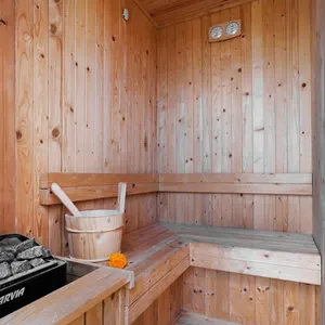 Clássico tradicional personalizável sauna a vapor interior fogão sauna exterior infravermelho para comercial e Villa