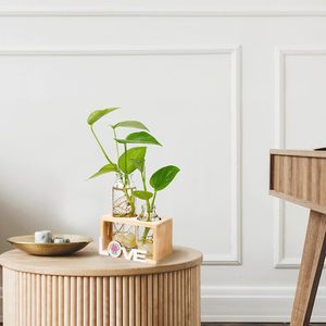 Terrarium de plantes avec support en bois, Vase en verre à Tube de jardinière à Air, décoration hydroponique de la maison, du jardin et du bureau-Propagation des plantes - Product Image 6