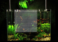 Grille filtrante de fond d'aquarium en gros, découpable, pour filtre sous gravier, isolation des supports filtrants et du sable pour aquarium