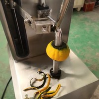 Commerciële/Volautomatische Fruit-En Groenteschilmachine/Ananas Grapefruit Wintermeloen Meloen