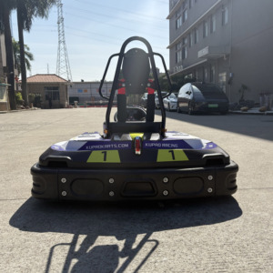 Factory <strong>Sales</strong> 4 Strokes Petrol <strong>Go</strong> <strong>Kart</strong> <strong>for</strong> Adult Professional <strong>Go</strong>-<strong>kart</strong> Manufacturer 200cc Commercial Drift Gasoline Karting Car - Product Image 6