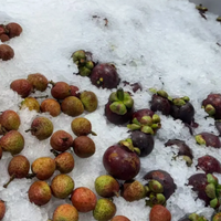 Machine à glace en flocons industrielle pour la transformation des produits de la pêche, le refroidissement de la pêche, la conservation des aliments et la chaîne du froid