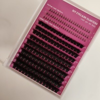 Faux Cils en Touffes Individuelles Étiquette Privée Personnalisée DIY Cils Effet Volume avec Bases