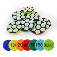 1 ''/25mm Diamant Mini Remis à neuf Tampons de Polissage Renouveler Disque de Ponçage Feuille de Polissage Tampon Abrasif pour Jade Marbre Granit