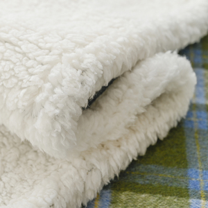 Bán Buôn Tùy Chỉnh In 60X80Inch Kích Thước Lớn Màu Xanh Lá Cây Sọc Cực Lông Cừu Sang Trọng Sherpa Giường Lớn Chăn Cho Mùa Đông - Product Image 6