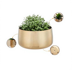 Maceta Moderna de Latón con Orificio de Drenaje para Plantas Verdes de Interior, Macetero de Escritorio, Diseño Minimalista, Acabado Cromado, Jardín - Product Image 1