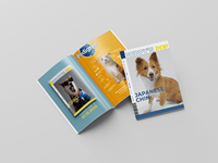 Service d'impression de brochures de catalogues de magazines promotionnels réutilisables Met Art