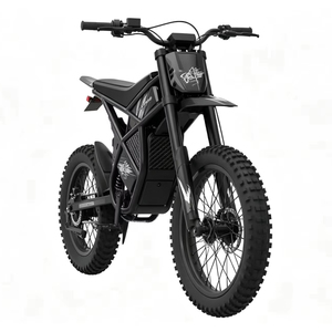 Bicicletas Eléctricas de Montaña GT73 de 2000w con Llantas Gruesas de 48v para Adultos - Product Image 1