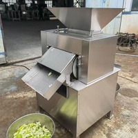 Commerciële hydraulische sapcentrifuge met motor voor grote vruchten, roltype voor citroenen, passievruchten, geschikt voor gebruik in fruitverwerkingsbedrijven