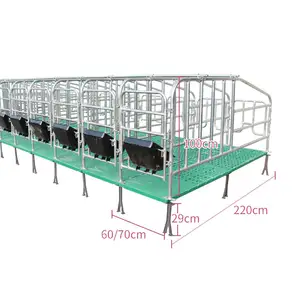 GREAT FARM Sturdy Modern Agricultural Equipments Animal Cages Sow Gestation pen Galvanized Sow Positioning Pens
