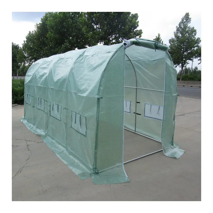 China custom Low cost mini plastic tunnel single span PE film greenhouse grden green house for flowers plant