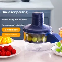 Volledig automatische elektrische huishoudelijke en commerciële fruit- en groenteschiller YM-B2 voor druivenhuid en knoflookknoppen