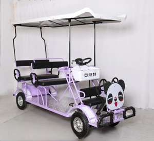 48v 60v סוללה עופרת חומצה עופרת 4 אופניים סארי חשמלי גלגל 2-4 אנשים סיירי סיור משפחתי לרכב מקומי & אוטובוס - Product Image 6