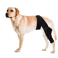 Attelle de Genou Personnalisée pour Chien avec Charnière Métallique et Plaque de Soutien pour les Pattes Arrière - Protection du Genou du Chien