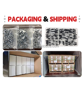 SS304 SS316 multigrip gesipa đinh tán mái vòm đầu thép đinh tán mù cho bảng điều khiển năng lượng mặt trời cài đặt - Product Image 6