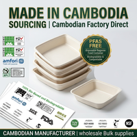 Conteneur alimentaire carré de 9 pouces sans PFAS, jetable, en bagasse, biodégradable, compostable, boîte à emporter en canne à sucre, vente en gros
