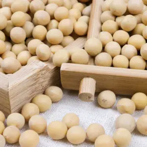 Cheap Hot Sale Various Good Quality Yellow Soya Bean Common Dried Beans Yellow Soybeans