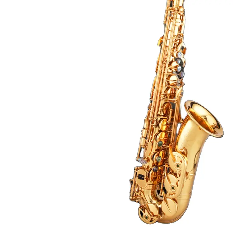 Gold Keys E Flat Profession elles Altsaxophon-Sax mit Schilf und Mundstück