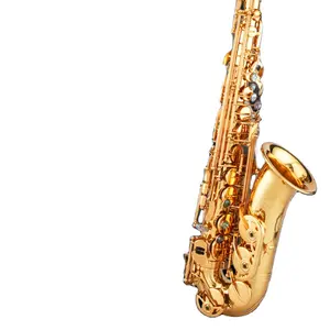 Kunci Emas E Saksofon Alto Sax Profesional Datar dengan Buluh dan Corong