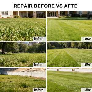 <span class=keywords><strong>Tondeuse</strong></span> à gazon robotisée intelligente hybride <span class=keywords><strong>essence</strong></span>-électrique 550 mm sans fil, coupe-herbe télécommandé à chenilles - Product Image 6