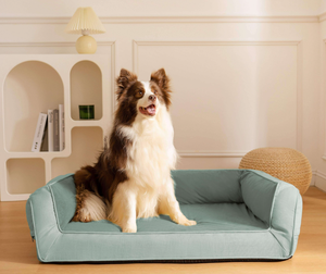 맞춤형 메모리 폼 개 침대 전체 지원 정형 소파 베드 이동식 빨 벨벳 커버 솔리드 패션-클래식 애완 동물 침대 - Product Image 5
