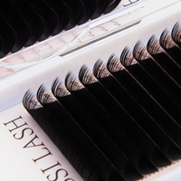 ESSI LASH Plateaux d'extensions de cils coréens en PBT, vente en gros, longueurs mixtes 7-15mm, pour la formation des débutants