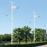 Lampadaire solaire LED haute puissance, lampadaire hybride solaire LED à énergie éolienne verticale, éoliennes de bonne qualité
