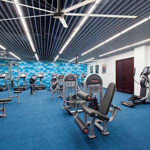 Ventilateur de plafond HVLS de grande taille pour salle de sport, avec 46 brevets et technologie de pointe en R&D - Product Image 6