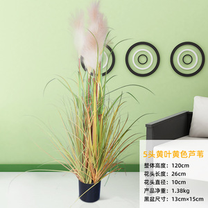 Hesper Hot Bán Nhân Tạo Pampas Cỏ Trang Trí Hỗn Hợp Màu 2 Tone Artificialpampasgrassfaux <span class=keywords><strong>Mod</strong></span> Faux Chậu Pampas Cỏ - Product Image 2
