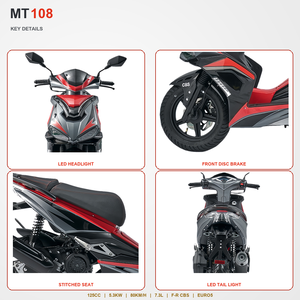 Scooter à essence pour adultes 125cc, moteur 4 temps refroidi par air, Euro 5 EFI, freins à disque CBS, vitesse maximale de 80 km/h pour les trajets urbains - Product Image 2